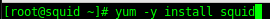 Squid reverse proxy: Let's get started, login, and su to root