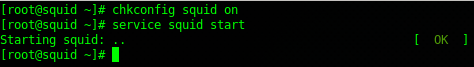 Squid reverse proxy: set the service to run on startup, and start the service