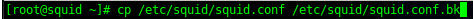 Squid reverse proxy: make a backup of the original squid config (trust me you want to do this step)