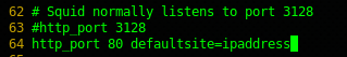Squid reverse proxy: comment out line 63, and add line 64