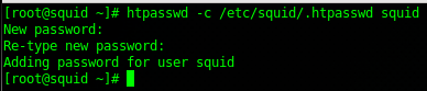 Squid basic authentication: create a username/password, for this example we used the username "squid"
