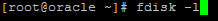 SAN LUN format: run fdisk -l to show available disks