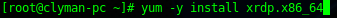 XRDP install: Issue the magical command to install xrdp