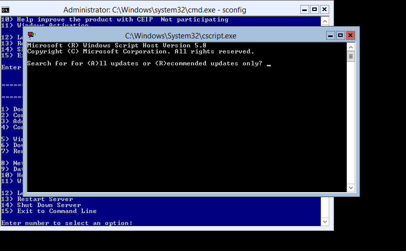 Server Core updates: it will ask do you want to do all updates, or only reccomended?